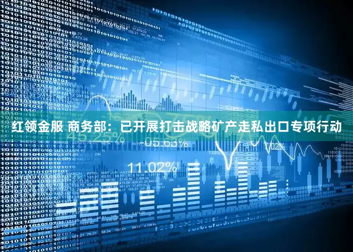 红领金服 商务部：已开展打击战略矿产走私出口专项行动