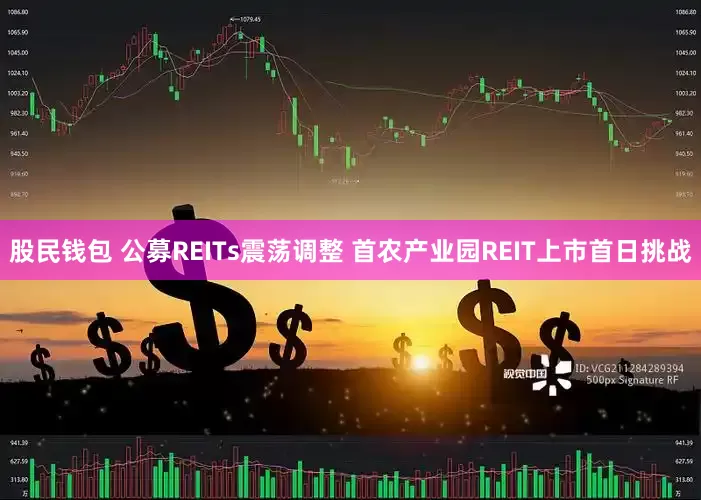 股民钱包 公募REITs震荡调整 首农产业园REIT上市首日挑战