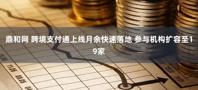 鼎和网 跨境支付通上线月余快速落地 参与机构扩容至19家