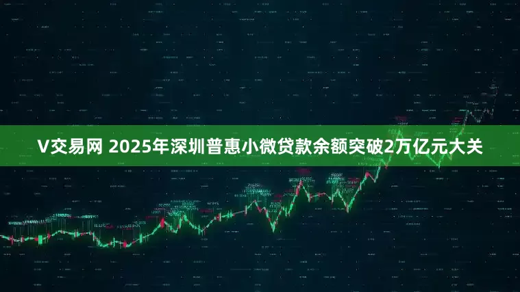 V交易网 2025年深圳普惠小微贷款余额突破2万亿元大关