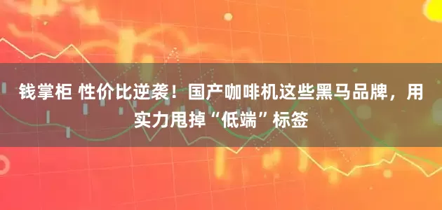 钱掌柜 性价比逆袭！国产咖啡机这些黑马品牌，用实力甩掉“低端”标签