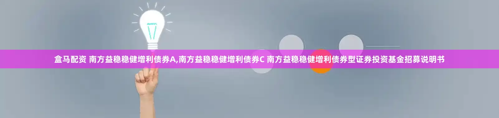 盒马配资 南方益稳稳健增利债券A,南方益稳稳健增利债券C 南方益稳稳健增利债券型证券投资基金招募说明书
