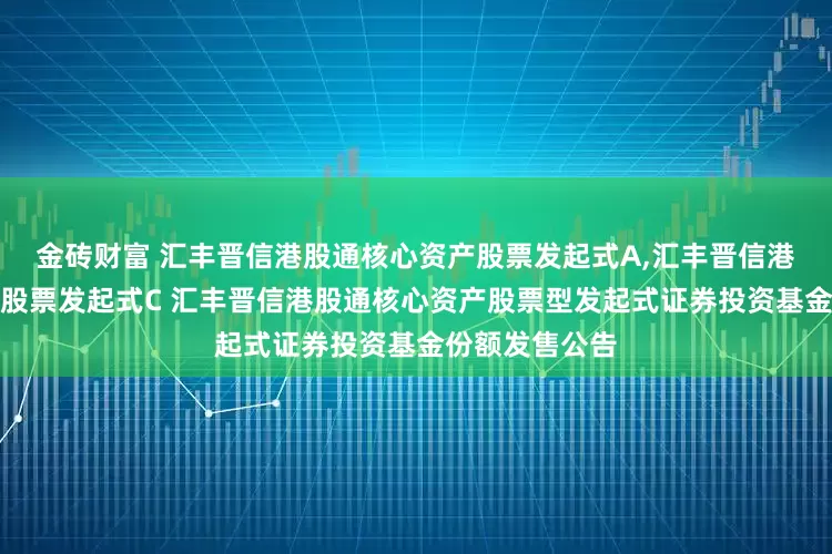 金砖财富 汇丰晋信港股通核心资产股票发起式A,汇丰晋信港股通核心资产股票发起式C 汇丰晋信港股通核心资产股票型发起式证券投资基金份额发售公告